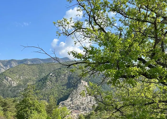 L'orbitelle Appartement
